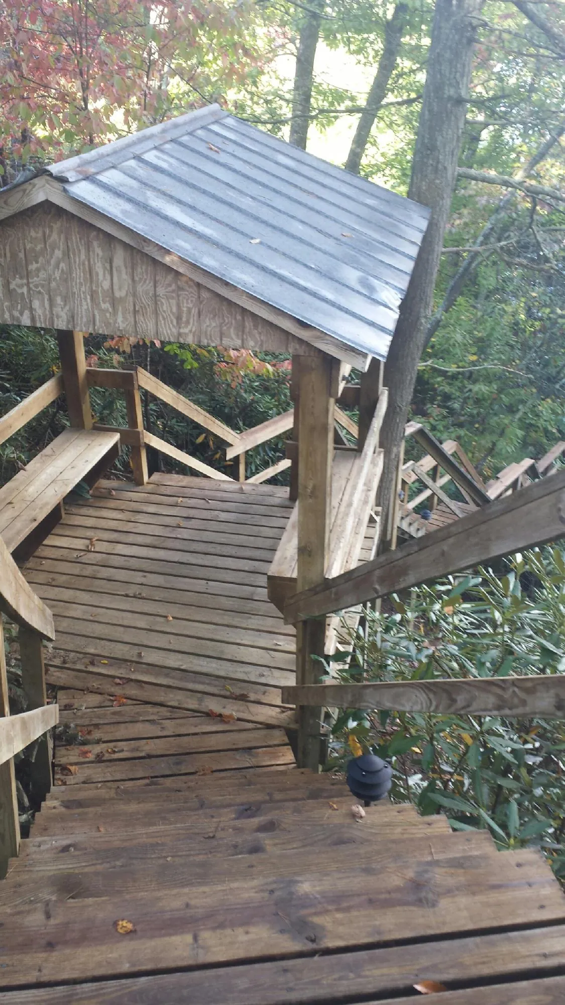 Metal roofed shelter over wooden steps on a wooded walkway — Skylight Repair & Installation work by our crew in Wilbur