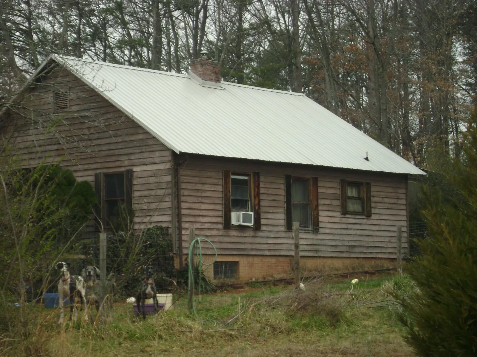 White metal roof on an old wood sided farmhouse, from a Metal Roof Installation job in Wilbur